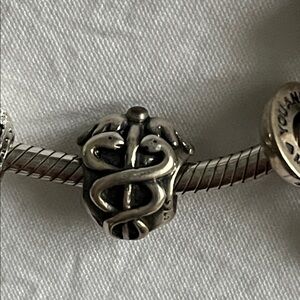 Sterling Silver Snake Caduceus Medical Pandora Charm